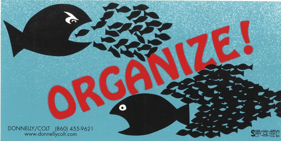 bumper stick with big and little fish saying organize